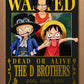D Brothers Wanted Poster FOIL A3 Art Print (11.7 x 16.5 inches)