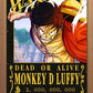 FUTURE PIRATE KING Wanted Poster FOIL A3 Art Print (11.7 x 16.5 inches)
